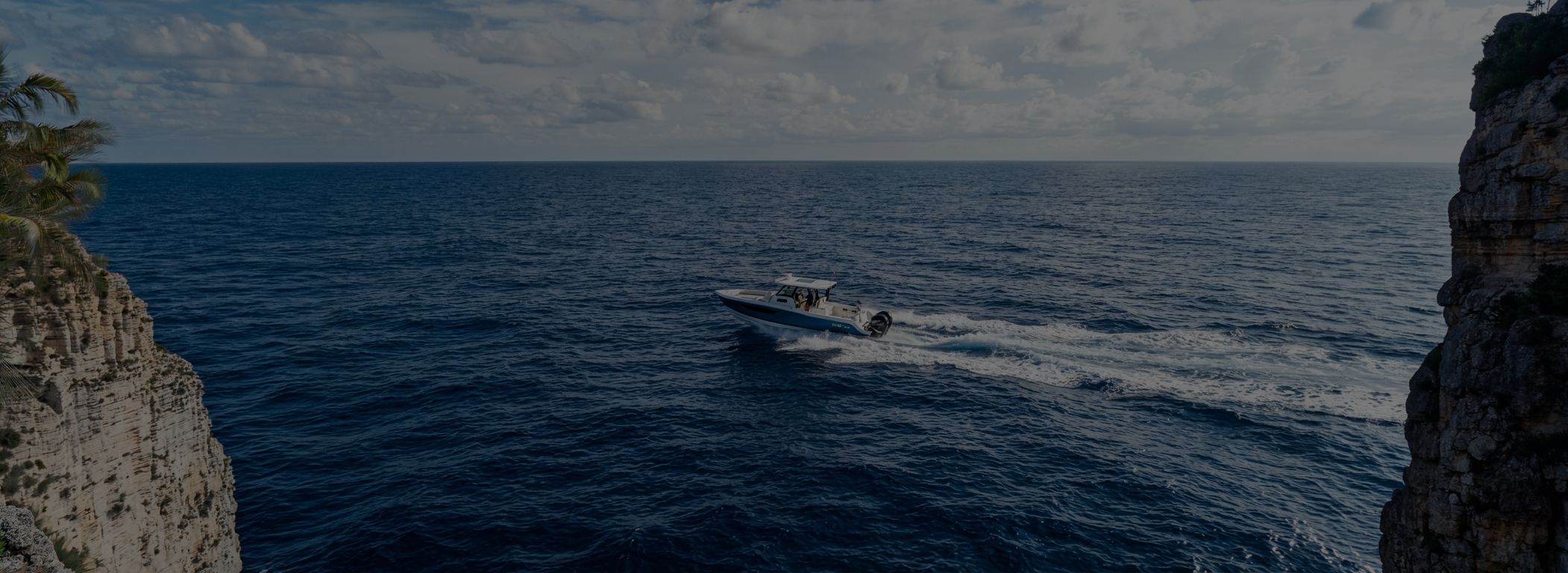 banner-prime-share-2
